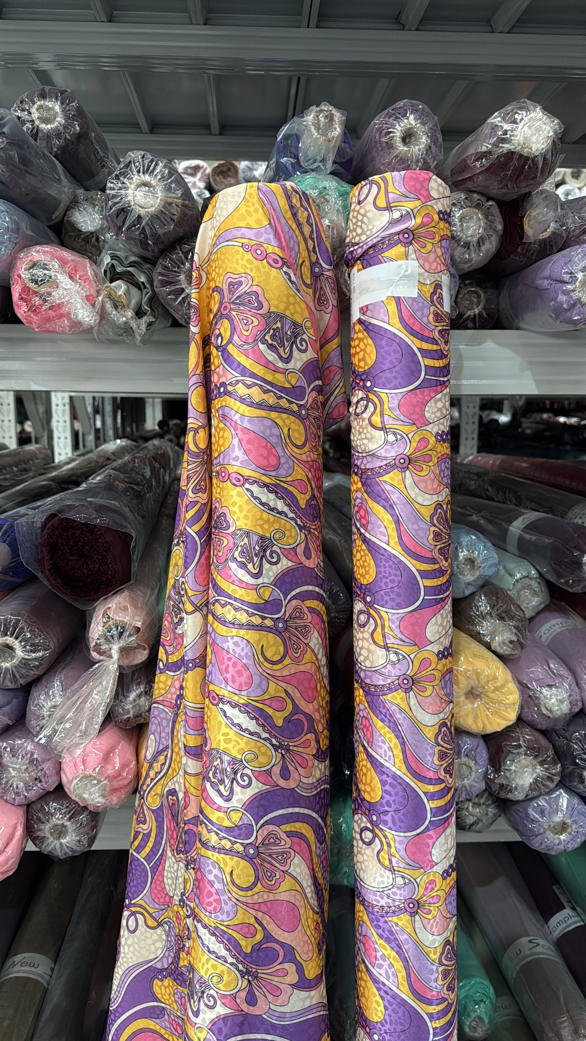 Pucci Lilac